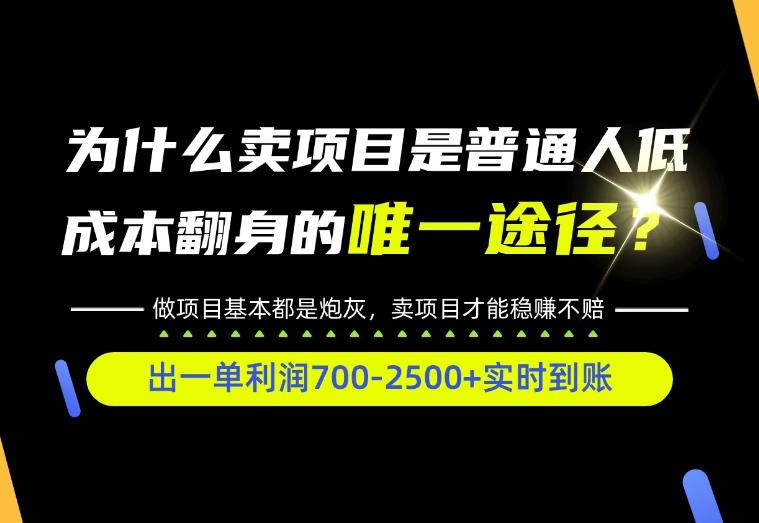 普通人如何靠互联网賺取自己的第一桶金!全类目实操型教学,看完你全都懂了!【揭秘】网络赚钱,项目资源网,副业资源网,兼职项目,网赚课程-副业赚钱-互联网创业-独家轻创IP大圣网创