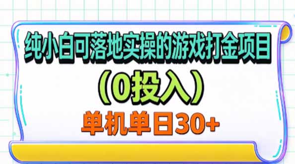 纯小白可落地实操的游戏打金项目(0投入网络赚钱,项目资源网,副业资源网,兼职项目,网赚课程-副业赚钱-互联网创业-独家轻创IP大圣网创