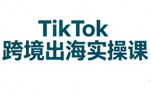 彭老师·TikTok跨境出海实操课网络赚钱,项目资源网,副业资源网,兼职项目,网赚课程-副业赚钱-互联网创业-独家轻创IP大圣网创