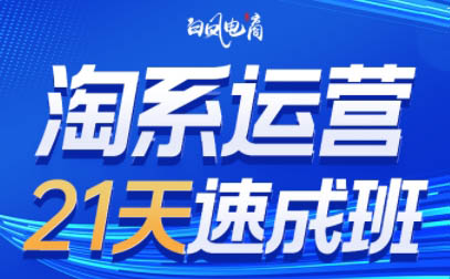 白凤电商·淘系运营21天速成班(更新10月)网络赚钱,项目资源网,副业资源网,兼职项目,网赚课程-副业赚钱-互联网创业-独家轻创IP大圣网创