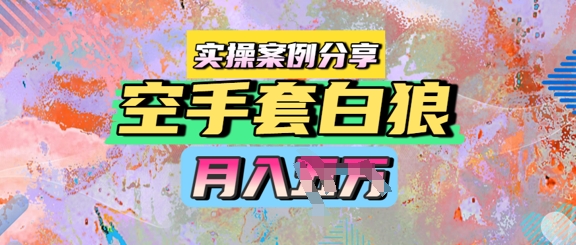 空手套白狼，月入过1W，实操案例分享网络赚钱,项目资源网,副业资源网,兼职项目,网赚课程-副业赚钱-互联网创业-独家轻创IP大圣网创