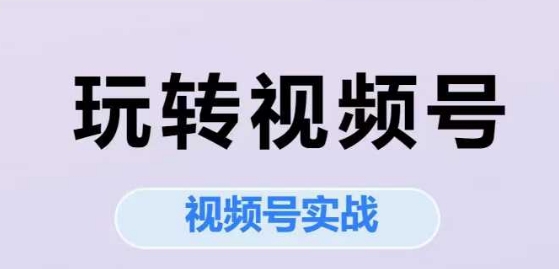 玩转视频号，视频号实战系列课网络赚钱,项目资源网,副业资源网,兼职项目,网赚课程-副业赚钱-互联网创业-独家轻创IP大圣网创