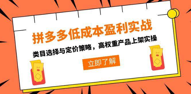 （15143期）拼多多低成本盈利实战，类目选择与定价策略，高权重产品上架实操网络赚钱,项目资源网,副业资源网,兼职项目,网赚课程-副业赚钱-互联网创业-独家轻创IP大圣网创