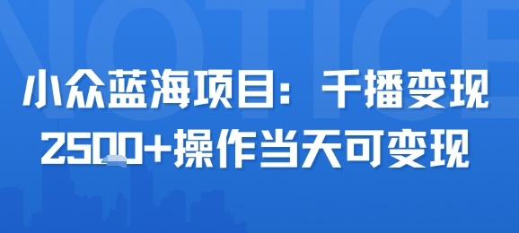小众蓝海项目，千播变现2.5k+操作当天可变现网络赚钱,项目资源网,副业资源网,兼职项目,网赚课程-副业赚钱-互联网创业-独家轻创IP大圣网创