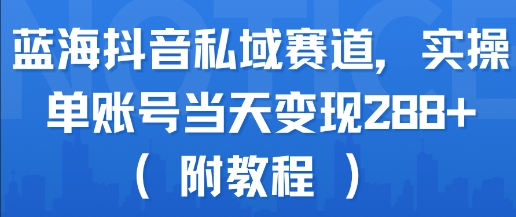 蓝海抖音私域赛道,实操单账号当天变现288+(附教程)网络赚钱,项目资源网,副业资源网,兼职项目,网赚课程-副业赚钱-互联网创业-独家轻创IP大圣网创