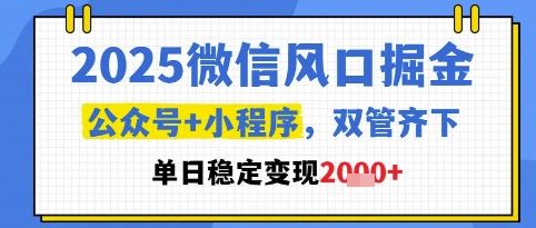 2025微信风口掘金，公众号+小程序双管齐下，单日稳定变现1k+【揭秘】网络赚钱,项目资源网,副业资源网,兼职项目,网赚课程-副业赚钱-互联网创业-独家轻创IP大圣网创