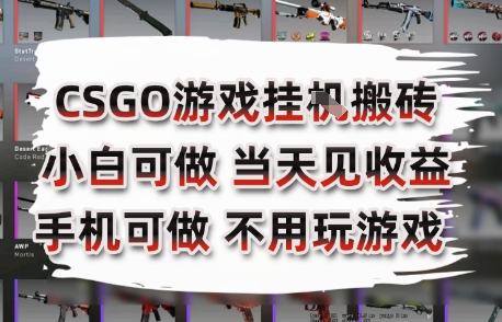 CSGO游戏挂G搬砖，小白纯手机即可操作，不用电脑打游戏，日入3张+，副业网创项目【揭秘】网络赚钱,项目资源网,副业资源网,兼职项目,网赚课程-副业赚钱-互联网创业-独家轻创IP大圣网创