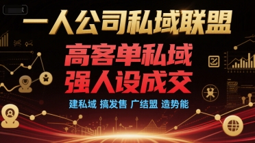 一人公司私域联盟，高客单私域，强人设成交，建私域 搞发售 广结盟 造势能网络赚钱,项目资源网,副业资源网,兼职项目,网赚课程-副业赚钱-互联网创业-独家轻创IP大圣网创