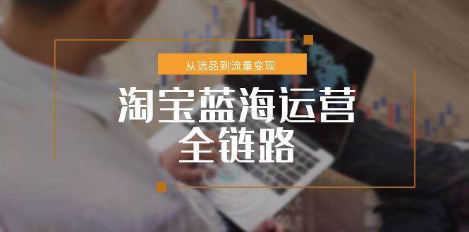 （15160期）淘宝蓝海运营全链路，从选品到流量变现，小类目突围完整方案网络赚钱,项目资源网,副业资源网,兼职项目,网赚课程-副业赚钱-互联网创业-独家轻创IP大圣网创