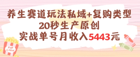 养生赛道玩法私域+复购类型，20秒生产原创实战单号月收入5k+网络赚钱,项目资源网,副业资源网,兼职项目,网赚课程-副业赚钱-互联网创业-独家轻创IP大圣网创