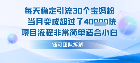 每天稳定引流30个人 当月变成超过了4个W项目流程非常简单适合小白网络赚钱,项目资源网,副业资源网,兼职项目,网赚课程-副业赚钱-互联网创业-独家轻创IP大圣网创