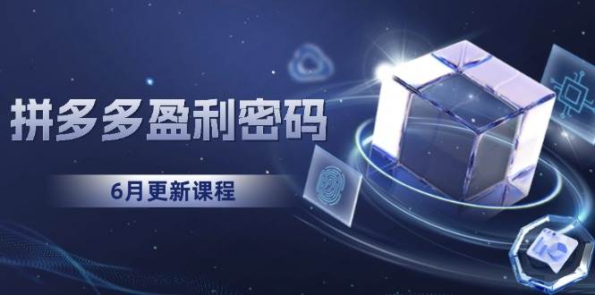 （15005期）拼多多盈利密码：从烧钱推广到印钞模型，底层逻辑重构指南（6月更新）网络赚钱,项目资源网,副业资源网,兼职项目,网赚课程-副业赚钱-互联网创业-独家轻创IP大圣网创