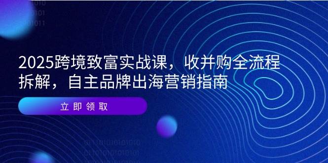 （14975期）2025跨境致富实战课，收并购全流程拆解，自主品牌出海营销指南网络赚钱,项目资源网,副业资源网,兼职项目,网赚课程-副业赚钱-互联网创业-独家轻创IP大圣网创
