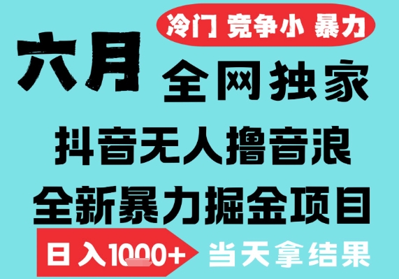 2025年6月高爆抖音无人直播最新撸音浪掘金项目，无脑日入1k+，低门槛小白可做，可矩阵放大【揭秘】网络赚钱,项目资源网,副业资源网,兼职项目,网赚课程-副业赚钱-互联网创业-独家轻创IP大圣网创