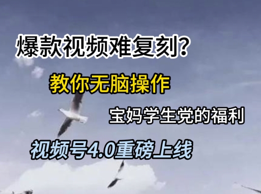 视频号4.0重磅上线，爆款视频难复刻？教你无脑操作宝妈学生党的福利【揭秘】网络赚钱,项目资源网,副业资源网,兼职项目,网赚课程-副业赚钱-互联网创业-独家轻创IP大圣网创