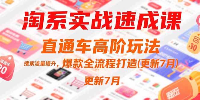 淘系实战速成课，直通车高阶玩法，搜索流量提升，爆款全流程打造(更新7月网络赚钱,项目资源网,副业资源网,兼职项目,网赚课程-副业赚钱-互联网创业-独家轻创IP大圣网创