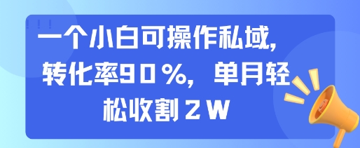一个小白可操作私域，转化率90%，单月轻松收割2W网络赚钱,项目资源网,副业资源网,兼职项目,网赚课程-副业赚钱-互联网创业-独家轻创IP大圣网创