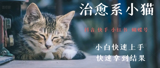 拆解，疯狂火爆！抖音，小红书，视频号小猫治愈的视频，轻松制作+快速拿到结果网络赚钱,项目资源网,副业资源网,兼职项目,网赚课程-副业赚钱-互联网创业-独家轻创IP大圣网创