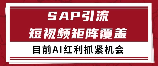 小红书某音sap赛道引流获客 自热矩阵日引200+【揭秘】网络赚钱,项目资源网,副业资源网,兼职项目,网赚课程-副业赚钱-互联网创业-独家轻创IP大圣网创
