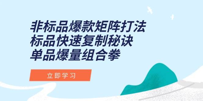 （15068期）非标品爆款矩阵打法，标品快速复制秘诀，单品爆量组合拳网络赚钱,项目资源网,副业资源网,兼职项目,网赚课程-副业赚钱-互联网创业-独家轻创IP大圣网创