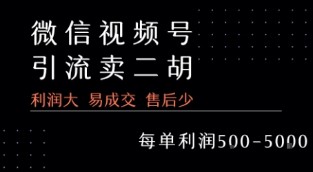视频号卖二胡教程，利润大 易成交 售后少，一单利润5张+网络赚钱,项目资源网,副业资源网,兼职项目,网赚课程-副业赚钱-互联网创业-独家轻创IP大圣网创