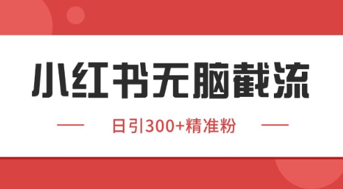 小红书截流同行客源，独家野路子获客玩法 日引200+暴力获客【揭秘】网络赚钱,项目资源网,副业资源网,兼职项目,网赚课程-副业赚钱-互联网创业-独家轻创IP大圣网创