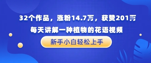 32个作品，涨粉14.7W，获赞201W，每天讲解一种植物的花语视频，无需任何技巧，新手小白轻松上手网络赚钱,项目资源网,副业资源网,兼职项目,网赚课程-副业赚钱-互联网创业-独家轻创IP大圣网创