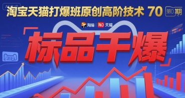 淘宝天猫打爆班原创高阶技术第70期：标品干爆网络赚钱,项目资源网,副业资源网,兼职项目,网赚课程-副业赚钱-互联网创业-独家轻创IP大圣网创