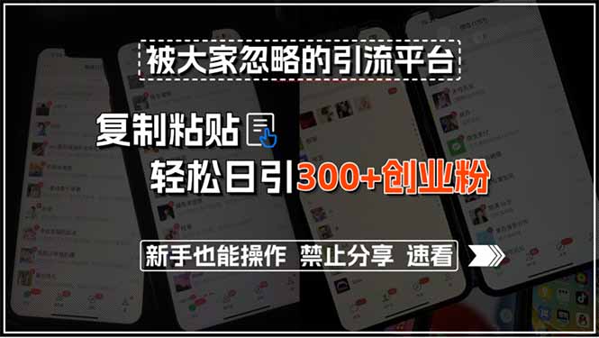 被大家忽略的引流平台，复制粘贴轻松日引300+创业粉，新手也能操作，禁…网络赚钱,项目资源网,副业资源网,兼职项目,网赚课程-副业赚钱-互联网创业-独家轻创IP大圣网创