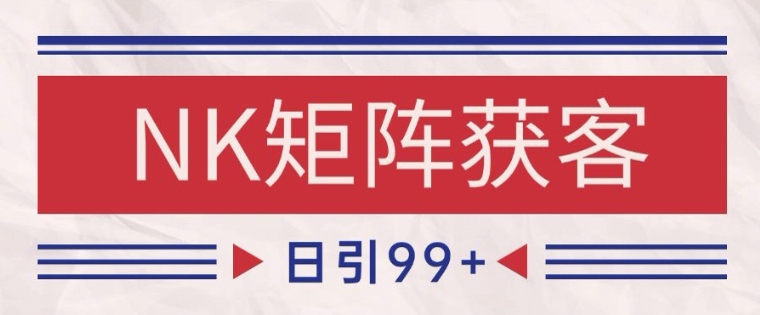 小红书某音NK赛道引流获客 自热矩阵日引200+【揭秘】网络赚钱,项目资源网,副业资源网,兼职项目,网赚课程-副业赚钱-互联网创业-独家轻创IP大圣网创