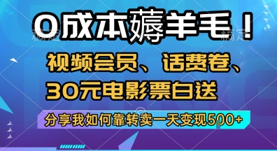 0成本薅羊毛!视频会员、话费卷、30元电影票白送，分享我如何靠转卖一天变现5张+【揭秘】网络赚钱,项目资源网,副业资源网,兼职项目,网赚课程-副业赚钱-互联网创业-独家轻创IP大圣网创
