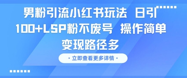 男粉引流小红书玩法，日引100+LSP粉不废号，操作简单，变现路径多网络赚钱,项目资源网,副业资源网,兼职项目,网赚课程-副业赚钱-互联网创业-独家轻创IP大圣网创