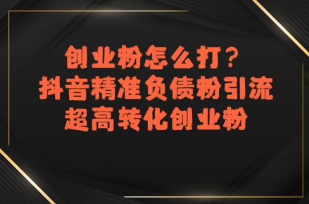 创业粉怎么打？抖音精准负债粉引流，超高转化创业粉网络赚钱,项目资源网,副业资源网,兼职项目,网赚课程-副业赚钱-互联网创业-独家轻创IP大圣网创