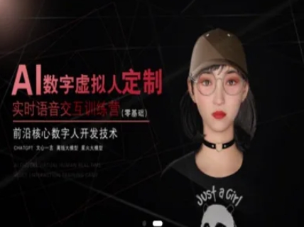AI数字虚拟人定制，实时语音交互训练营（零基础），前沿核心数字人开发技术网络赚钱,项目资源网,副业资源网,兼职项目,网赚课程-副业赚钱-互联网创业-独家轻创IP大圣网创