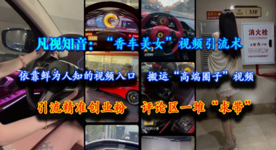 凡视知音：“香车美女”视频引流术，依靠鲜为人知的视频入口，搬运“高端圈子”视频，引流精准创业粉，评论区一堆“求带”网络赚钱,项目资源网,副业资源网,兼职项目,网赚课程-副业赚钱-互联网创业-独家轻创IP大圣网创