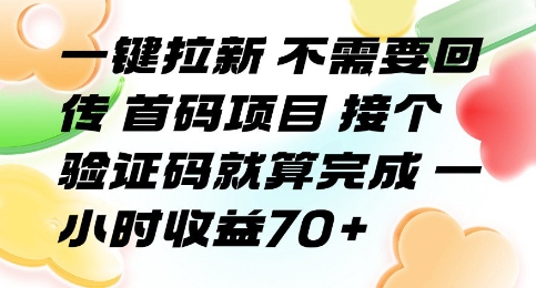 一键拉新 不需要回传 首码项目 接个验证码就算完成 一小时收益70+【揭秘】网络赚钱,项目资源网,副业资源网,兼职项目,网赚课程-副业赚钱-互联网创业-独家轻创IP大圣网创
