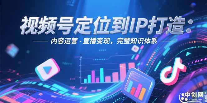 （15173期）视频号定位到IP打造：账号搭建-内容运营-直播变现，完整知识体系网络赚钱,项目资源网,副业资源网,兼职项目,网赚课程-副业赚钱-互联网创业-独家轻创IP大圣网创