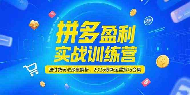 拼多多盈利实战训练营，强付费玩法深度解析，2025最新运营技巧合集网络赚钱,项目资源网,副业资源网,兼职项目,网赚课程-副业赚钱-互联网创业-独家轻创IP大圣网创