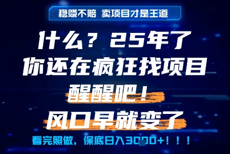 什么？25年你还在疯狂找项目做，醒醒吧，看完这些你全都懂了！【揭秘】网络赚钱,项目资源网,副业资源网,兼职项目,网赚课程-副业赚钱-互联网创业-独家轻创IP大圣网创