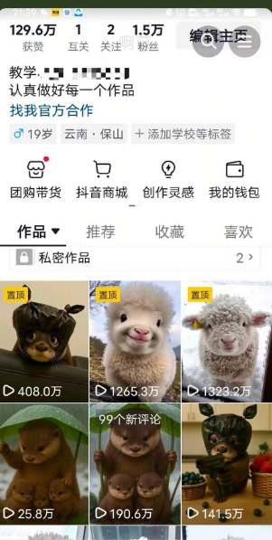 抖音65W博主AI萌宠课程，新赛道流量大，原创+二创，全套课程+提示词网络赚钱,项目资源网,副业资源网,兼职项目,网赚课程-副业赚钱-互联网创业-独家轻创IP大圣网创
