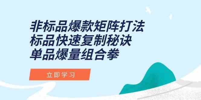 非标品爆款矩阵打法，标品快速复制秘诀，单品爆量组合拳网络赚钱,项目资源网,副业资源网,兼职项目,网赚课程-副业赚钱-互联网创业-独家轻创IP大圣网创