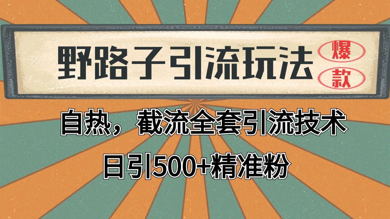 2024首发野路子引流玩法截流自热全平台打法，全自动引流【日引2000+精准客户】网络赚钱,项目资源网,副业资源网,兼职项目,网赚课程-副业赚钱-互联网创业-独家轻创IP大圣网创