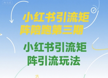 小红书引流矩阵陪跑第三期，小红书引流矩阵引流玩法网络赚钱,项目资源网,副业资源网,兼职项目,网赚课程-副业赚钱-互联网创业-独家轻创IP大圣网创