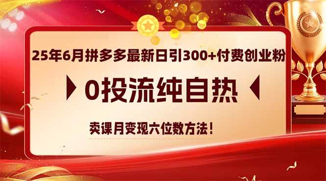 （14989期）25年6月拼多多最新日引300+付费创业粉，0投流纯自热 卖课月变现六位数方法网络赚钱,项目资源网,副业资源网,兼职项目,网赚课程-副业赚钱-互联网创业-独家轻创IP大圣网创