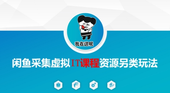 闲鱼采集虚拟IT课程资源另类玩法，干货满满网络赚钱,项目资源网,副业资源网,兼职项目,网赚课程-副业赚钱-互联网创业-独家轻创IP大圣网创