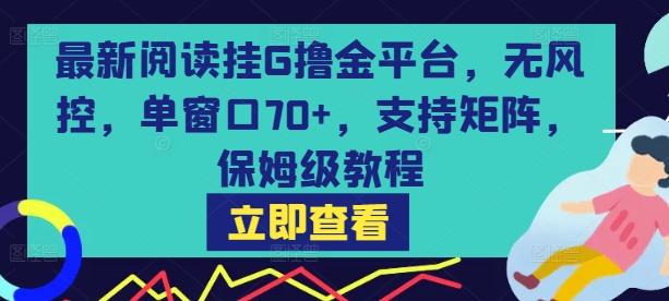 最新阅读挂G撸金平台，无风控，单窗口70+，支持矩阵，保姆级教程【揭秘】网络赚钱,项目资源网,副业资源网,兼职项目,网赚课程-副业赚钱-互联网创业-独家轻创IP大圣网创