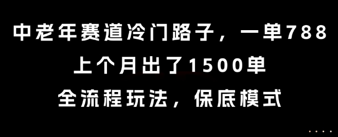 中老年赛道冷门路子，一单788，上个月出了1500单，全流程玩法，保底模式【揭秘】网络赚钱,项目资源网,副业资源网,兼职项目,网赚课程-副业赚钱-互联网创业-独家轻创IP大圣网创