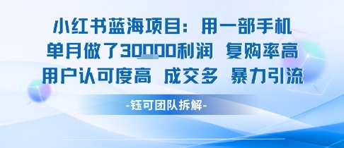 小红书蓝海项目，一部手机单月做了3W利润，小白也能月入过1W用户认可度高成交多网络赚钱,项目资源网,副业资源网,兼职项目,网赚课程-副业赚钱-互联网创业-独家轻创IP大圣网创
