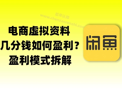 揭秘虚拟电商1分钱资料与卡券是如何获得收益的(详细拆解)网络赚钱,项目资源网,副业资源网,兼职项目,网赚课程-副业赚钱-互联网创业-独家轻创IP大圣网创