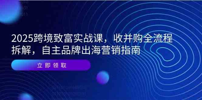 2025跨境致富实战课，收并购全流程拆解，自主品牌出海营销指南网络赚钱,项目资源网,副业资源网,兼职项目,网赚课程-副业赚钱-互联网创业-独家轻创IP大圣网创